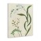 Stupell Industries Neutral Snowdrop Stems Canvas, design by June Erica Vess
